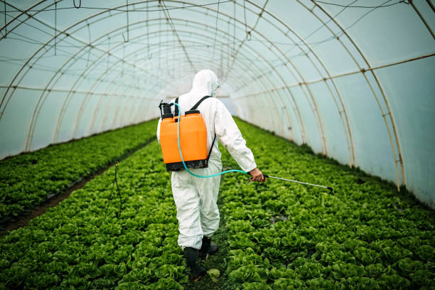 Best Mosquito Control Services  in Weddington, NC